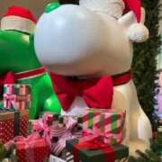 ヒメ日記 2025/12/04 20:27 投稿 あこ セレブコレクション赤坂