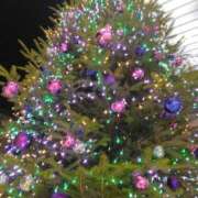 あこ 今夜も セレブコレクション赤坂