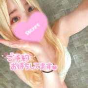 ヒメ日記 2025/01/27 01:50 投稿 ネル ギャルズネットワーク 姫路