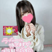 ヒメ日記 2025/02/20 18:30 投稿 ネル ギャルズネットワーク 姫路