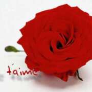 ヒメ日記 2025/01/18 22:38 投稿 あいり タレント倶楽部Around40