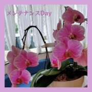 ヒメ日記 2025/01/23 16:08 投稿 あいり タレント倶楽部Around40