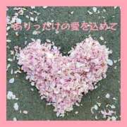 ヒメ日記 2025/03/30 20:06 投稿 あいり タレント倶楽部Around40