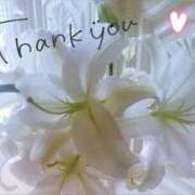 ヒメ日記 2025/08/10 07:06 投稿 あいり タレント倶楽部Around40