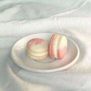 ヒメ日記 2025/02/25 14:58 投稿 新人・萌七(もな) グランドオペラ福岡