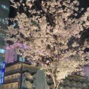 ヒメ日記 2025/04/03 13:11 投稿 新人・萌七(もな) グランドオペラ福岡