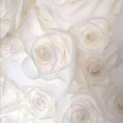 ヒメ日記 2025/04/08 23:32 投稿 新人・萌七(もな) グランドオペラ福岡