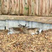 ヒメ日記 2025/09/20 20:24 投稿 ゆきな エメラルド☆フロウジョン