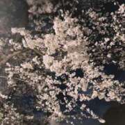 ヒメ日記 2025/04/04 14:12 投稿 ひな まつど女学園