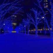 ヒメ日記 2025/12/14 14:03 投稿 ひな まつど女学園