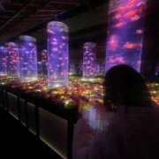 ヒメ日記 2026/03/26 18:52 投稿 ひな まつど女学園