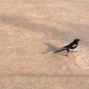 ヒメ日記 2025/06/28 14:38 投稿 まお マリン宮殿水戸店