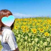 ヒメ日記 2025/09/04 12:44 投稿 もな♡小柄可愛い未経験♡体験 LUXURIA（ルクスリア）