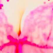 ヒメ日記 2025/05/26 18:30 投稿 のばら 逢って30秒で即尺