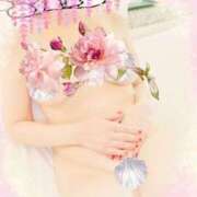 ヒメ日記 2025/07/17 20:47 投稿 のばら 逢って30秒で即尺