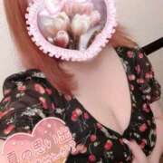 ちとせ SR？ 小田原人妻城