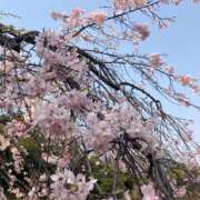 ヒメ日記 2025/03/27 09:56 投稿 みい 人妻小旅行