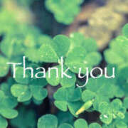 ヒメ日記 2025/08/30 16:00 投稿 れいな 奥鉄オクテツ大阪