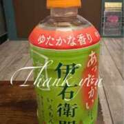 ヒメ日記 2026/01/31 13:45 投稿 れいな 奥鉄オクテツ大阪