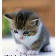 ヒメ日記 2025/02/14 10:08 投稿 よる 熟女の風俗最終章 高崎店