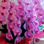 ヒメ日記 2025/03/21 11:58 投稿 よる 熟女の風俗最終章 高崎店