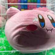 ヒメ日記 2026/02/28 15:55 投稿 にに 本庄デリヘル！奇跡のビンビン学園