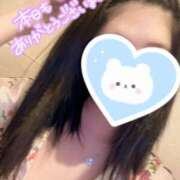 ヒメ日記 2025/03/31 23:47 投稿 らむ 三つ乱本館