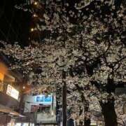 ヒメ日記 2025/04/04 19:37 投稿 らむ 三つ乱本館