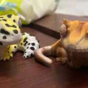 ヒメ日記 2025/10/07 20:57 投稿 らむ 三つ乱本館