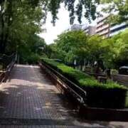 ヒメ日記 2025/06/20 12:53 投稿 みどり 丸妻 横浜本店