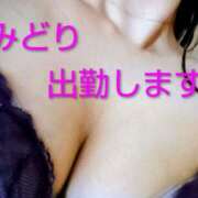 ヒメ日記 2025/12/05 09:52 投稿 みどり 丸妻 横浜本店