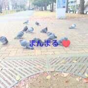 ヒメ日記 2026/03/10 16:20 投稿 みどり 丸妻 横浜本店