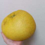 ヒメ日記 2026/03/11 21:59 投稿 みどり 丸妻 横浜本店