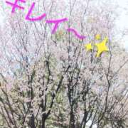 ヒメ日記 2026/03/18 14:46 投稿 みどり 丸妻 横浜本店