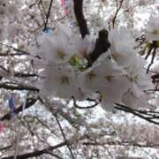 ヒメ日記 2026/04/09 10:12 投稿 みどり 丸妻 横浜本店