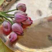 ヒメ日記 2026/02/25 07:35 投稿 さおり 大宮人妻デリヘル～大人の事情～