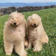 ヒメ日記 2026/03/04 12:45 投稿 さおり 大宮人妻デリヘル～大人の事情～