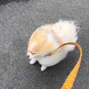 ヒメ日記 2026/03/05 09:25 投稿 さおり 大宮人妻デリヘル～大人の事情～