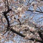 ヒメ日記 2026/03/28 11:55 投稿 さおり 大宮人妻デリヘル～大人の事情～