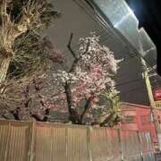 ヒメ日記 2026/03/30 23:35 投稿 さおり 大宮人妻デリヘル～大人の事情～