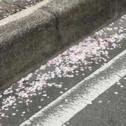 ヒメ日記 2026/04/08 12:35 投稿 さおり 大宮人妻デリヘル～大人の事情～