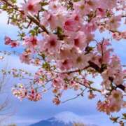 あやせ さくら 西船人妻花壇