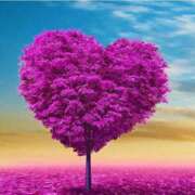 ヒメ日記 2025/02/20 09:02 投稿 ひとみ 人妻小旅行