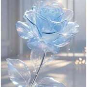 ヒメ日記 2025/03/05 19:42 投稿 ひとみ 人妻小旅行