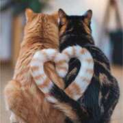 ヒメ日記 2025/05/01 02:52 投稿 ひとみ 人妻小旅行