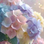 ヒメ日記 2025/06/10 08:22 投稿 ひとみ 人妻小旅行