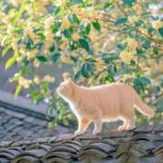 ヒメ日記 2025/09/26 08:17 投稿 ひとみ 人妻小旅行