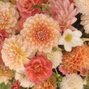 ヒメ日記 2025/10/23 08:47 投稿 ひとみ 人妻小旅行