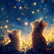 ヒメ日記 2025/11/11 22:57 投稿 ひとみ 人妻小旅行