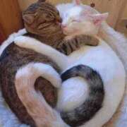 ひとみ 出勤します╰(*´︶`*)╯♡ 人妻小旅行